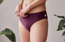 GESCELOS New In Auskerry Bottom - Grape