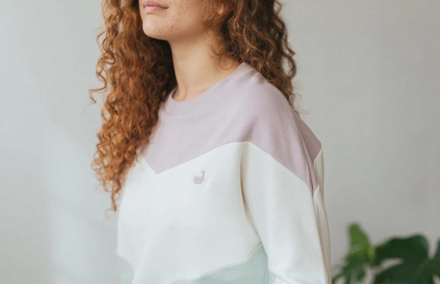 AAC Texteis SA Trinidad - Pastel Sale 5 AAC Texteis SA Trinidad - Pastel Sale