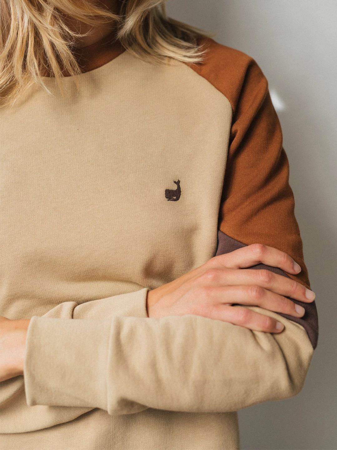 AAC Texteis SA Guachinanga - Latte Sale 6 AAC Texteis SA Guachinanga - Latte Sale