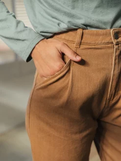 GESCELOS Buck - Chestnut